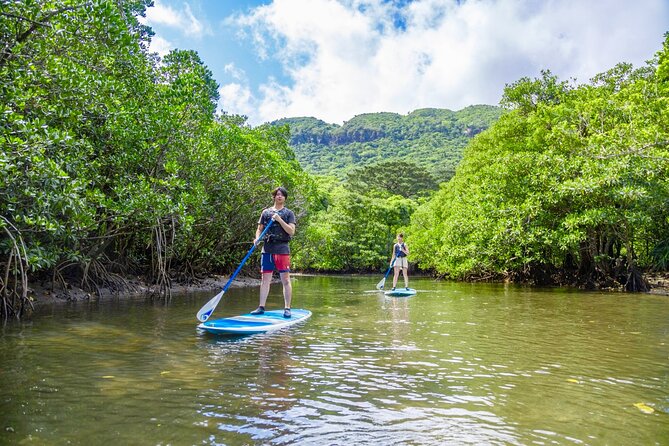 [Iriomote]Sup/Canoe Tour + Sightseeing in Yubujima Island - Additional Information