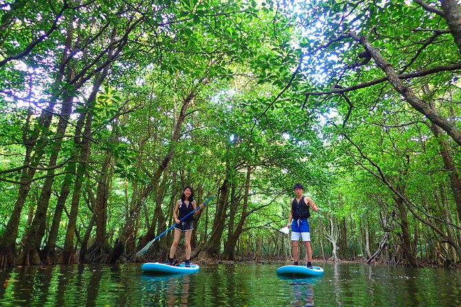 [Iriomote]Sup/Canoe Tour + Sightseeing in Yubujima Island - Cancellation Policy