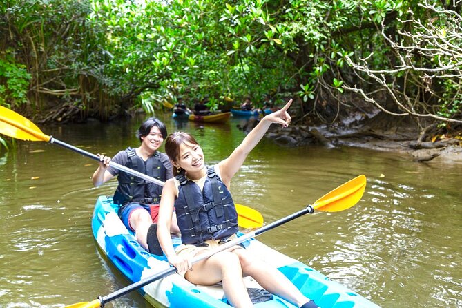 [Iriomote]Sup/Canoe Tour + Sightseeing in Yubujima Island - Customer Reviews