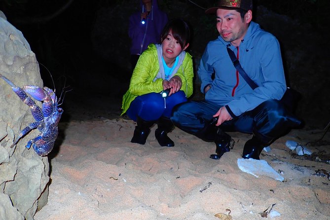 [Okinawa Iriomote] Night Adventure Tour - Frequently Asked Questions