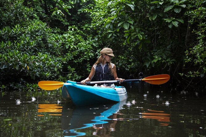 Sagaribana SUP / Canoe Tour Early in the Morning (Limited From June to August) - Conclusion