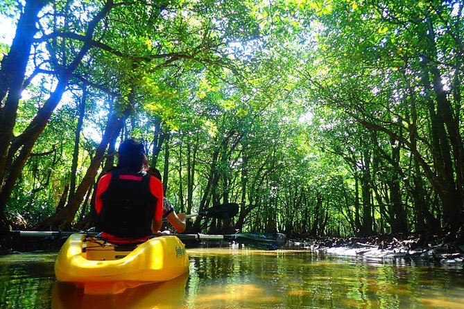 [Okinawa Iriomote] Sup/Canoe Tour in a World Heritage - Additional Info