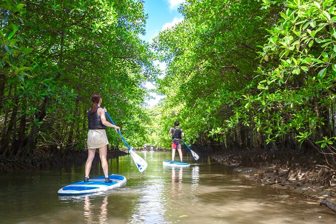 [Okinawa Iriomote] Sup/Canoe Tour in a World Heritage - Reviews