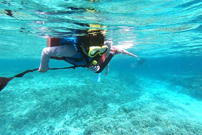 [Okinawa Iriomote] Snorkeling Tour at Coral Island - Customer Reviews