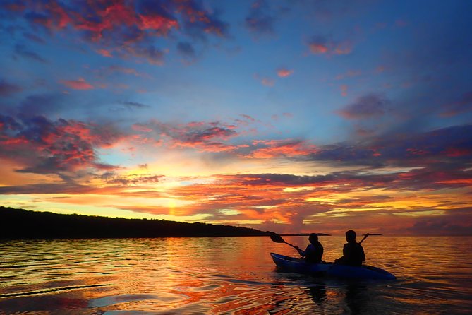 [Okinawa Iriomote] Sunrise SUP/Canoe Tour in Iriomote Island - Booking Requirements and Accessibility