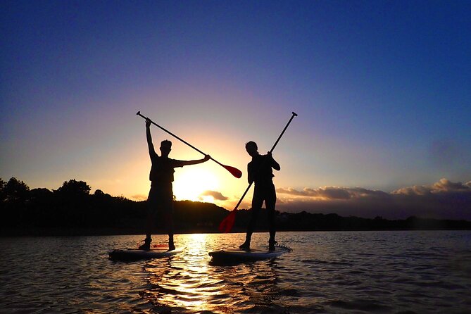 [Okinawa Iriomote] Sunrise SUP/Canoe Tour in Iriomote Island - Cancellation Policy and Pricing