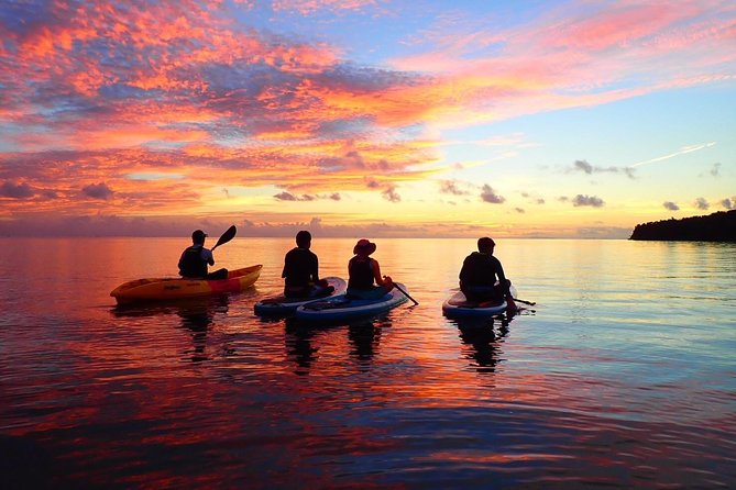 [Okinawa Iriomote] Sunset SUP/Canoe Tour in Iriomote Island - Key Takeaways