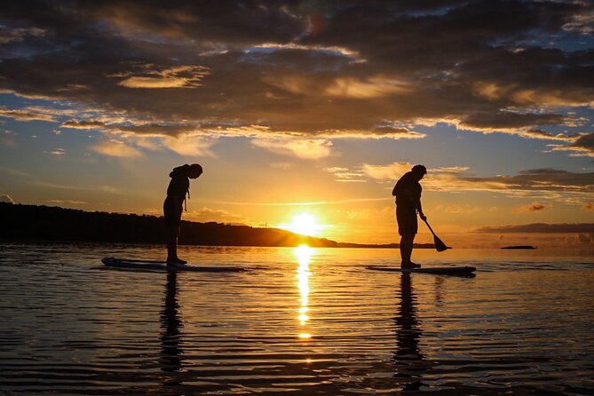 [Okinawa Iriomote] Sunset SUP/Canoe Tour in Iriomote Island - Important Policies