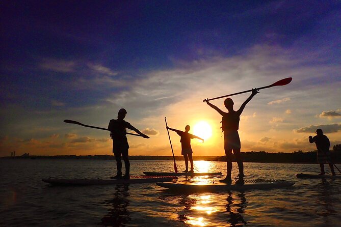 [Okinawa Iriomote] Sunset SUP/Canoe Tour in Iriomote Island - What to Expect