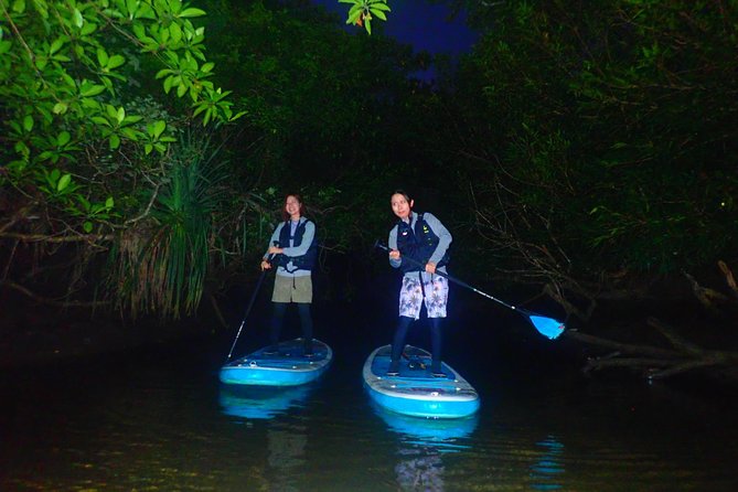 [Okinawa Iriomote] Night SUP/Canoe Tour in Iriomote Island - Frequently Asked Questions