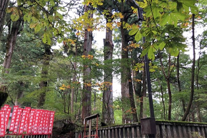 Private Morning Hike Around Nikko Toshogu Shrine - Enjoy a Private Guided Hike