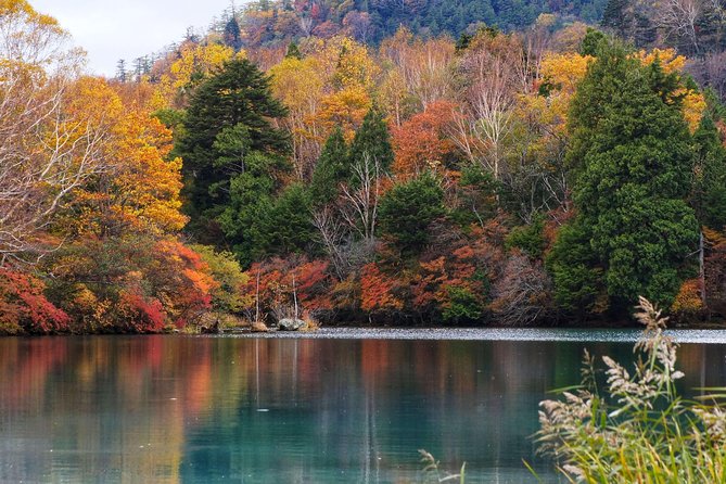 Nikko Custom Half Day Tour - Conclusion