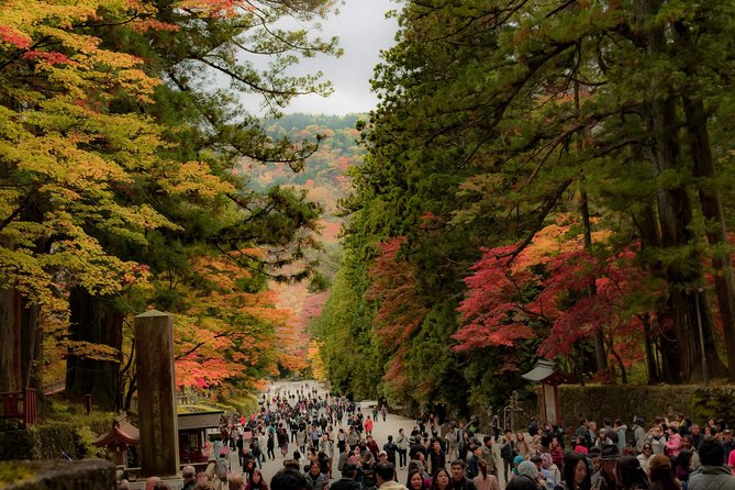 Nikko Custom Full Day Tour - Reviews