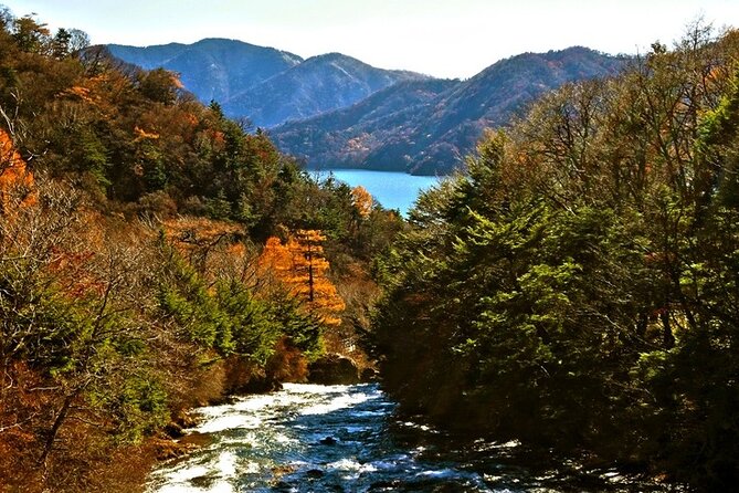 Full Day Private Tour & Sightseeing to Nikko(Eng Speaking Driver) - Tour Overview