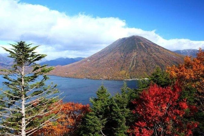 Nikko Full-Day Private Tour With Government-Licensed Guide - Frequently Asked Questions