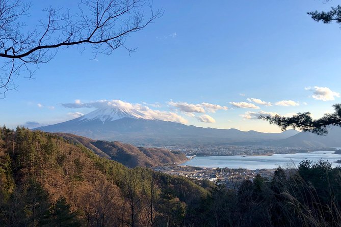 mt-fuji-area-private-guided-tours-in-english-nature-up-close-quiet-personal-tour-location-and-details