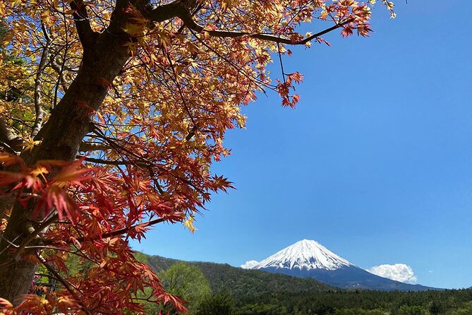 Aokigahara Nature Conservation Full-Day Hiking Tour - Tour Directions