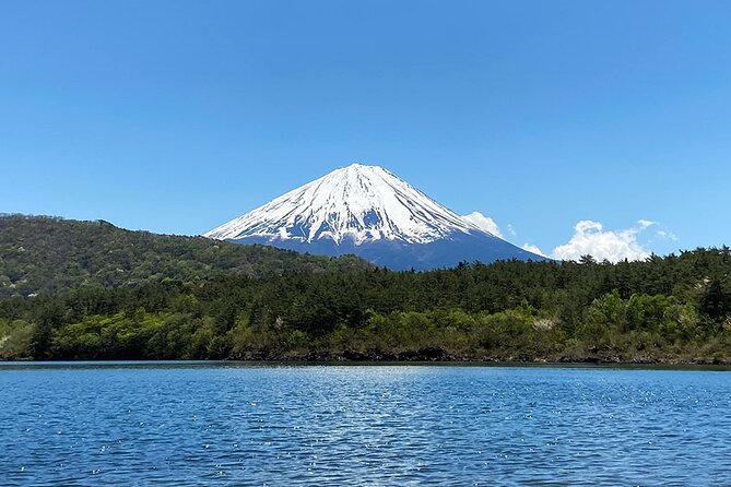 Aokigahara Nature Conservation Full-Day Hiking Tour - Conclusion