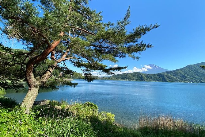 Lake Kawaguchiko Bike Tour - Price and Booking Information