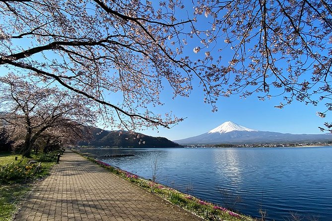 Mt Fuji Wineries Half-Day Tour - Key Takeaways