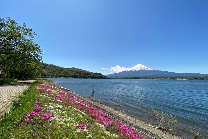 Mt Fuji Half-Day Tour By Car - Additional Information