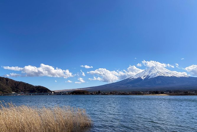 Mt Fuji Half-Day Tour By Car - Frequently Asked Questions