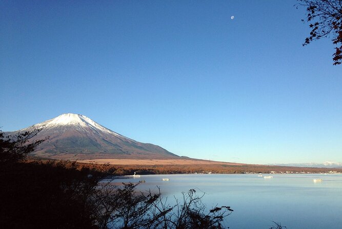 Mt Fuji Full-Day Tour By Car - Additional Info