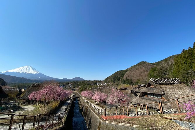 Mt Fuji Full-Day Tour By Car - Cancellation Policy