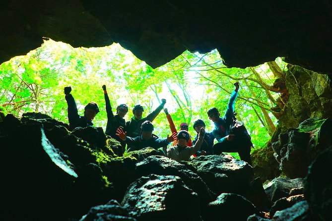 Explore Mt. Fuji Ice Cave in Aokigahara Forest - Reviews