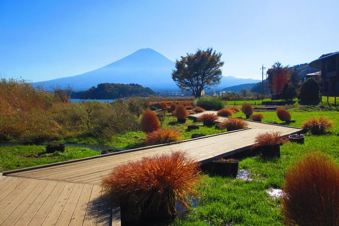 Scenic Spots of Mt Fuji and Lake Kawaguchi 1 Day Bus Tour - Additional Information