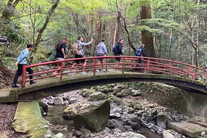 Mt. Inunaki Trekking and Goma Prayer Experience in Osaka - Key Takeaways