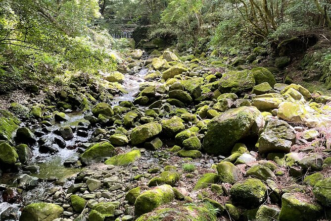 Mt. Inunaki Trekking and Waterfall Training in Izumisano Osaka - Meeting and Pickup