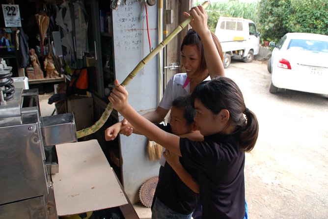 Sugarcane Cutting Experience With Okinawas Grandfather - Meeting Point Location and Directions