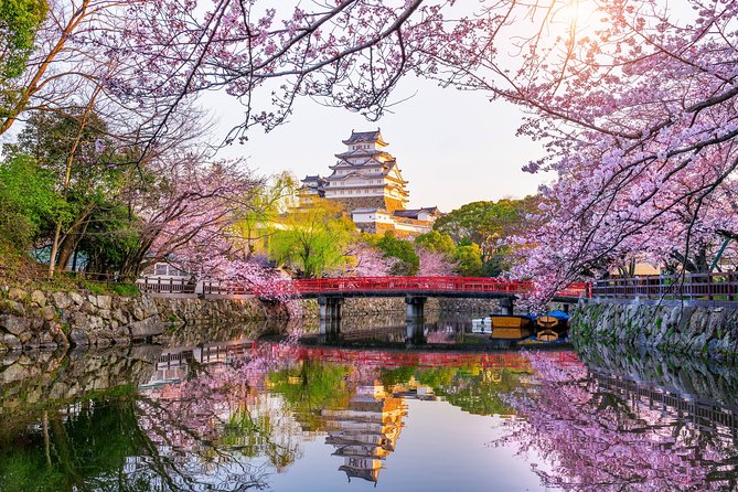 The Best of Himeji Walking Tour - Cultural Insights at Engyo-ji Temple