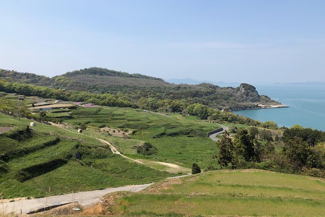 Private Scenic Cycling in Teshima Island Includes Teshima Museum - Key Takeaways