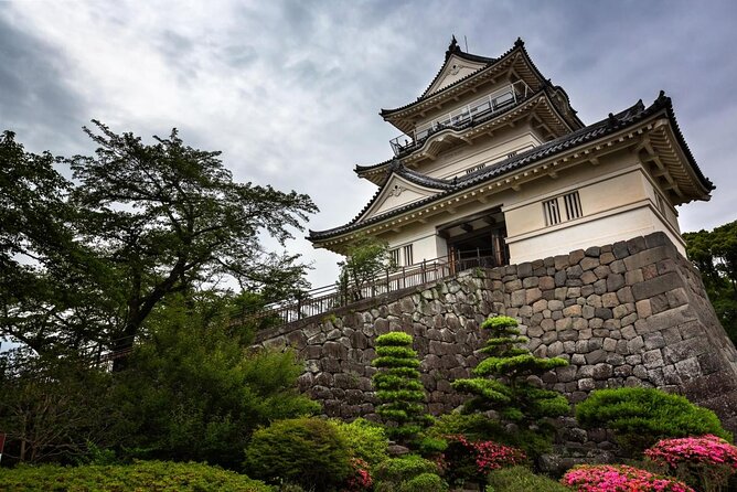 Odawara Castle and Town Guided Discovery Tour - Key Takeaways