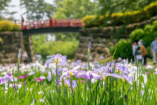 Odawara Castle and Town Guided Discovery Tour - Directions