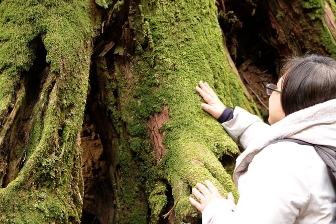 Forest Bathing in Temple and Enjoy Onsen With Healing Power - Customer Reviews Summary