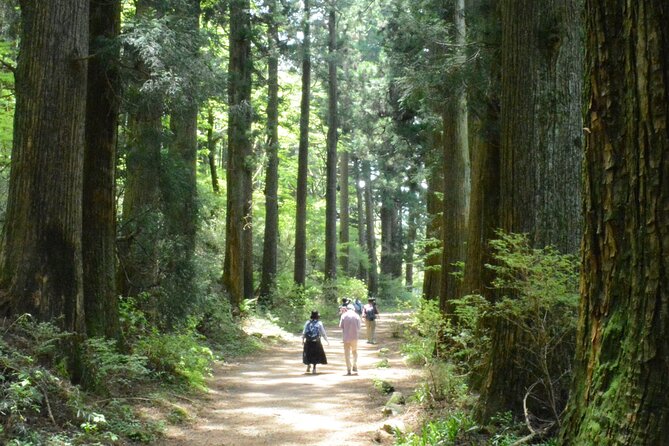 Hike Hakone Hachiri - Meeting Point