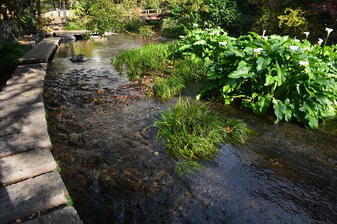 Hike Hakone Hachiri - Additional Info