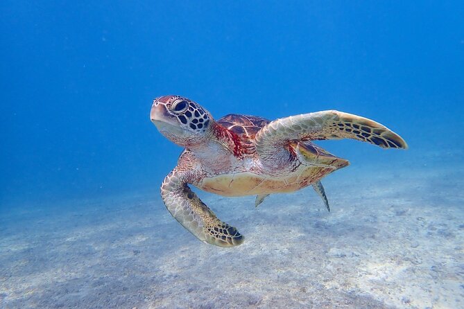 [Okinawa Miyako] 3 Set! Beach SUP, Tropical Snorkeling, Pumpkin Limestone Cave, Canoe - Meeting, Pickup, and Cancellation Policy