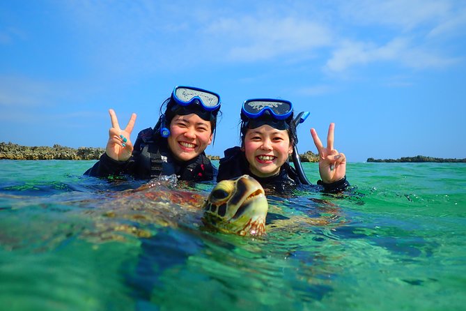 [Okinawa Miyako] Swim in the Shining Sea! Sea Turtle Snorkeling - Booking