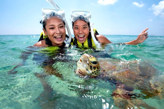 Miyakojima / Snorkel Tour to Swim With Sea Turtles - Frequently Asked Questions