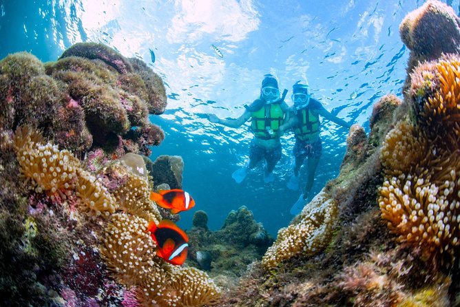 Miyakojima / Snorkel Tour to Enjoy Coral and Fish - Activity Inclusions and Meeting Point