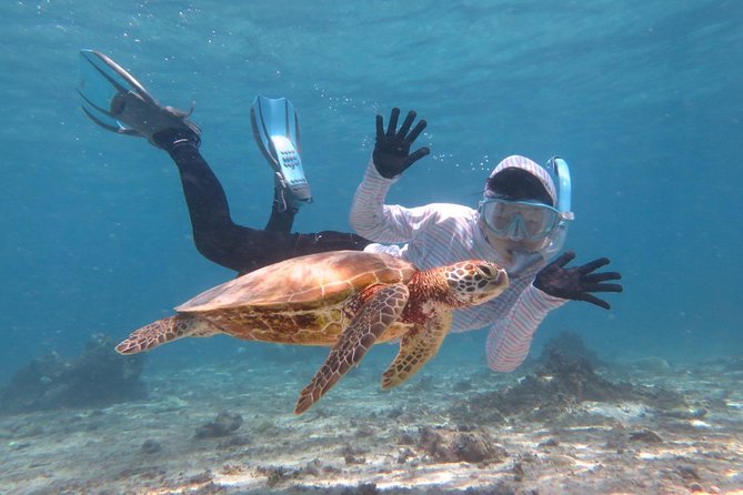 [Miyakojima Snorkel] Private Tour From 2 People Lets Look for Sea Turtles! Snorkel Tour That Can Be Enjoyed From 3 Years Old - Key Takeaways