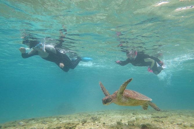 [Miyakojima Snorkel] Private Tour From 2 People Lets Look for Sea Turtles! Snorkel Tour That Can Be Enjoyed From 3 Years Old - Meeting and Pickup