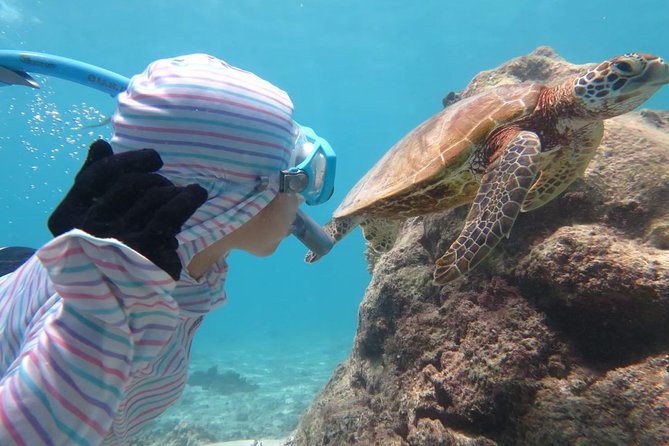 [Miyakojima Snorkel] Private Tour From 2 People Lets Look for Sea Turtles! Snorkel Tour That Can Be Enjoyed From 3 Years Old - Frequently Asked Questions