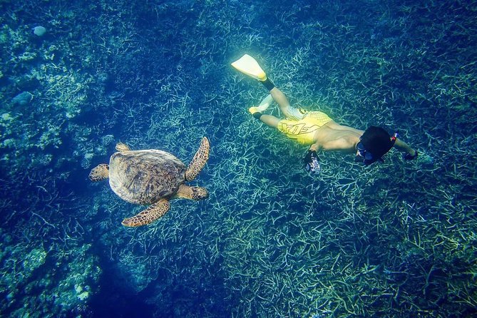 [Miyakojima, Diving Experience] Completely Charter Than 2 People Sea Turtle and Shark Sometimes Madaratobiei! Skin Diving at Deeper Points - Conclusion