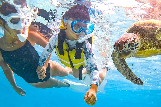 Snorkeling Activity in Miyako Japan - Participant Precautions