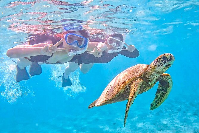 Miyako Two Activities in Half Day SUP and Sea Turtle Snorkeling - Key Takeaways